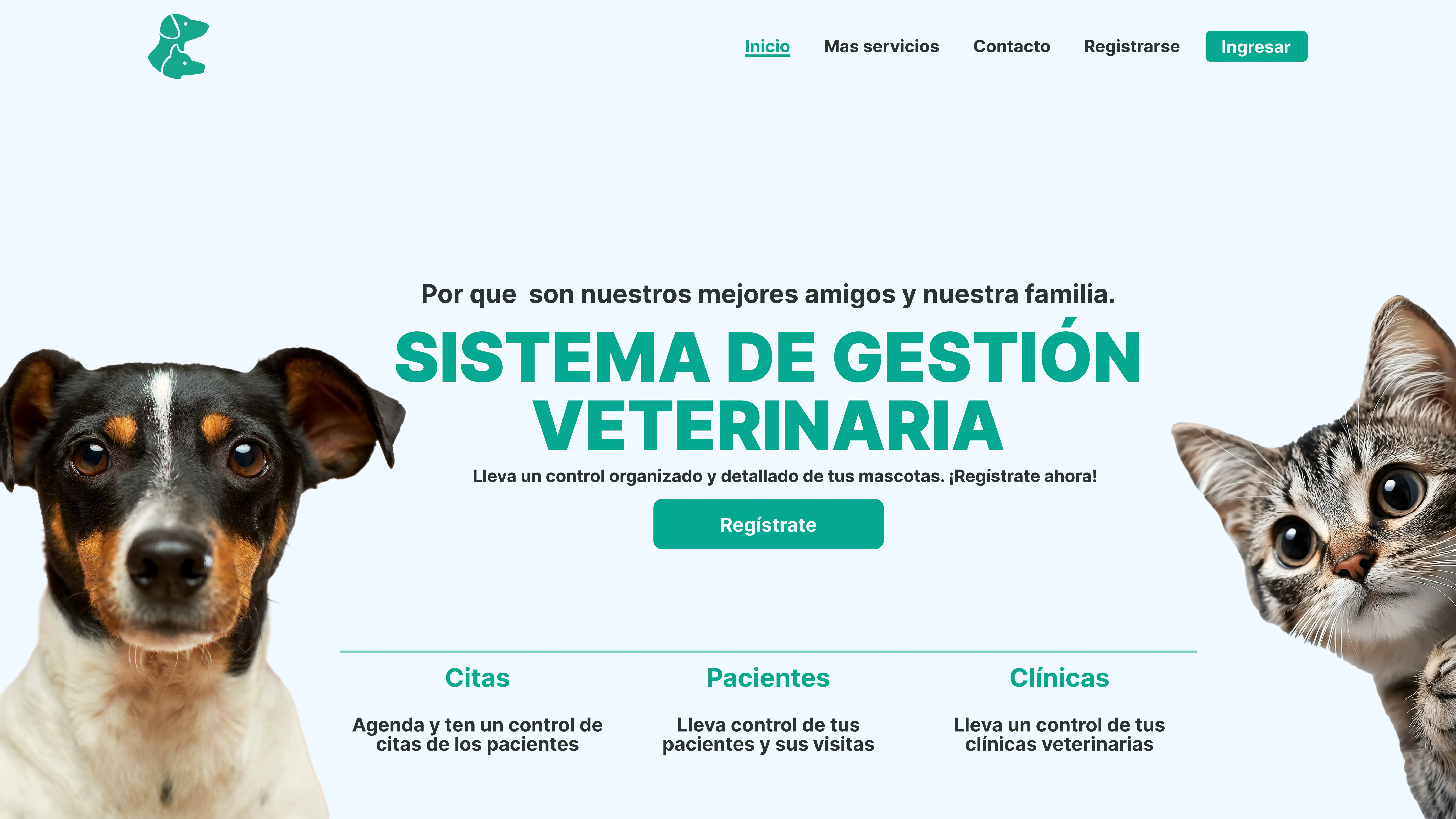 Punto de venta con <br> e-comerse